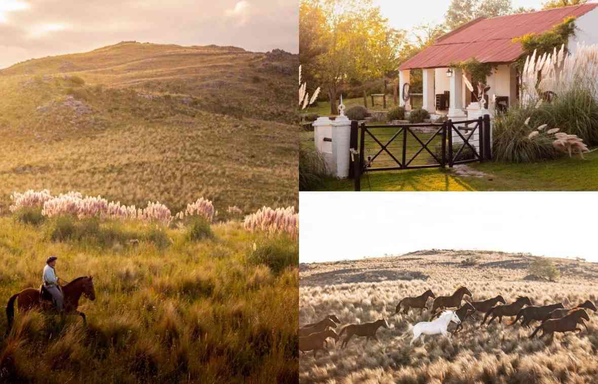 Estancia Los Potreros, Argentina