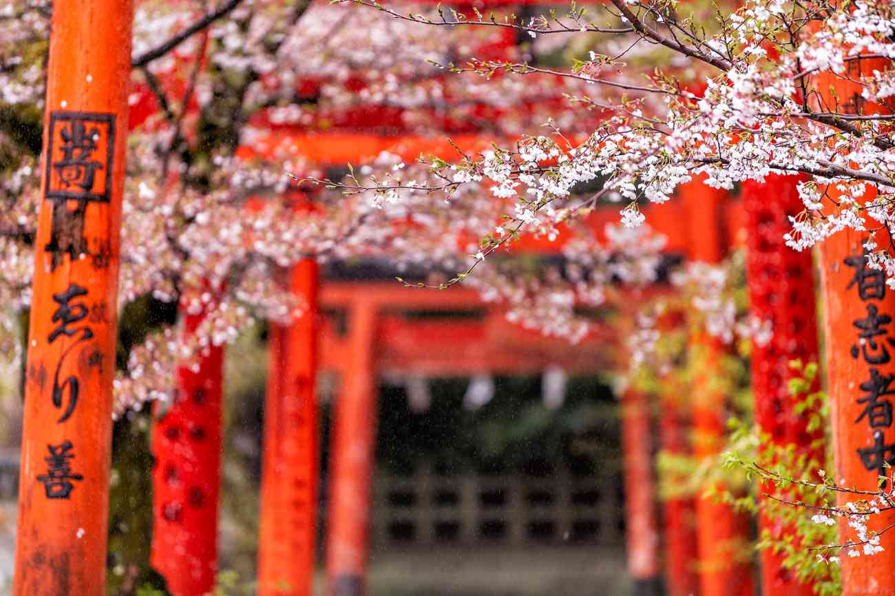 Kyoto, Japan