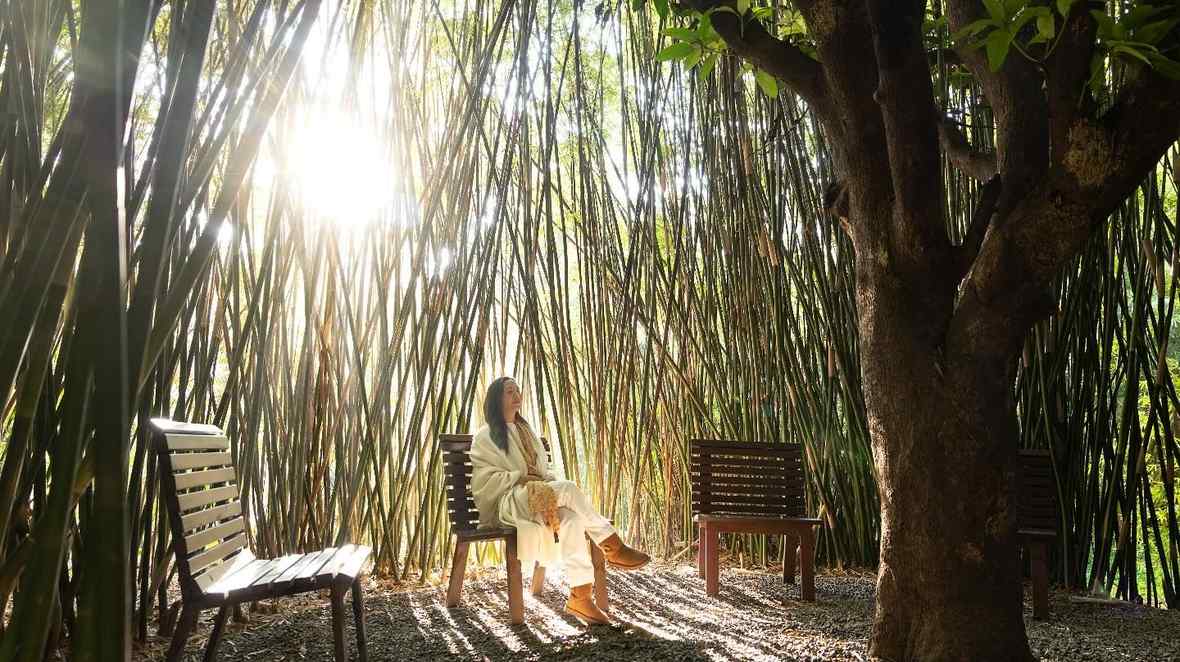 Six Senses Vana India