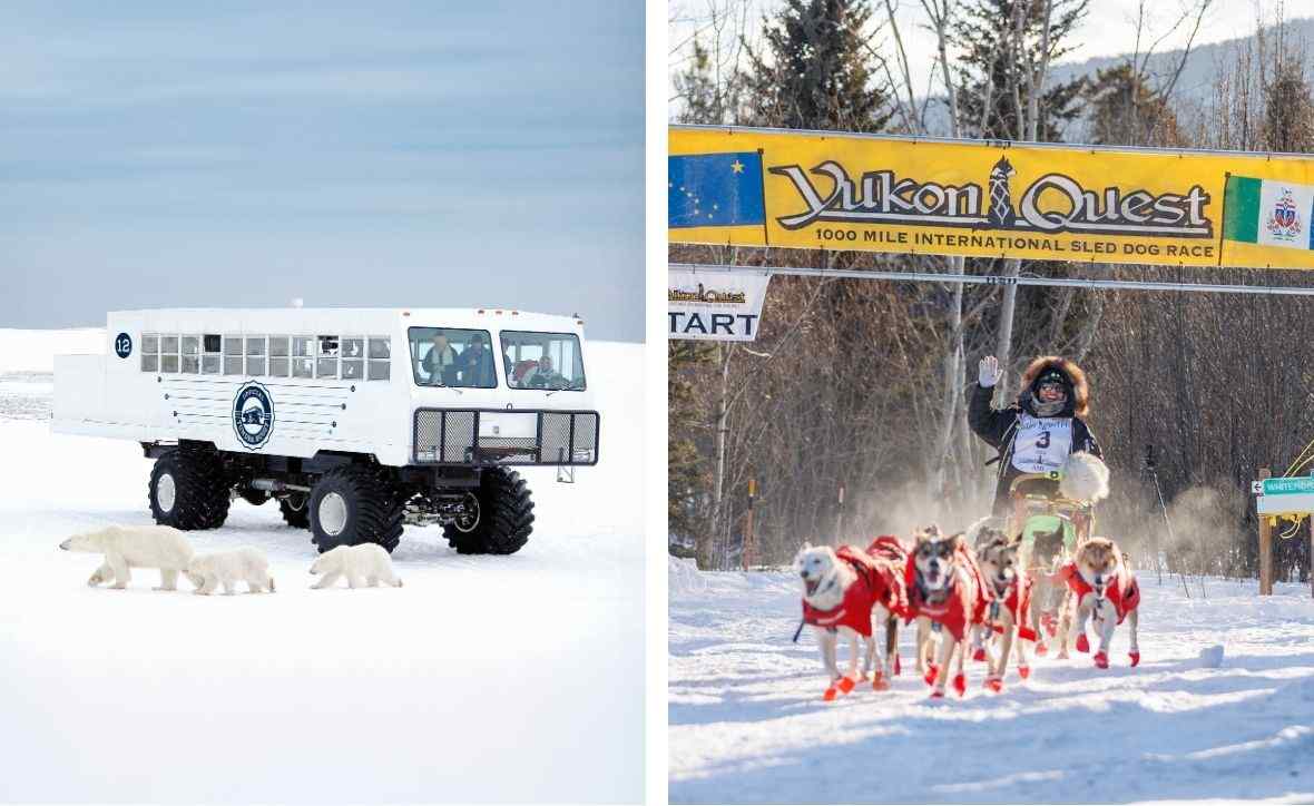 Frontiers North Adventures | Yukon Quest