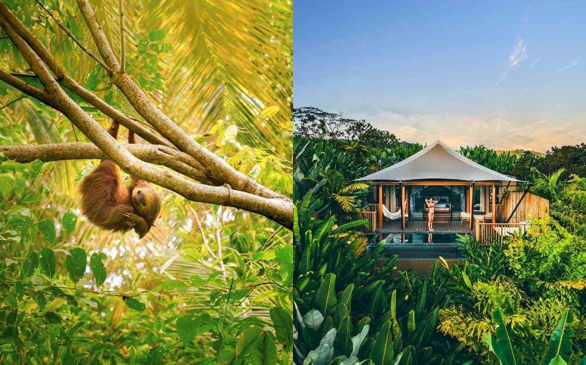 Sloth & Nayara Tented Camp, Costa Rica