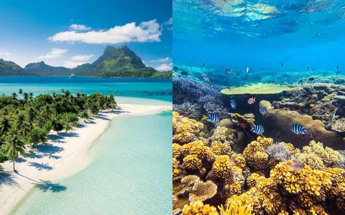 Paul Gauguin Cruises, Bora Bora, French Polynesia | French Polynesia Coral Reef
