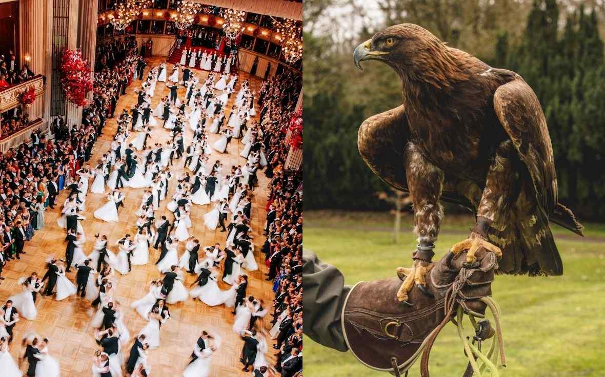 Dancing and Falconry