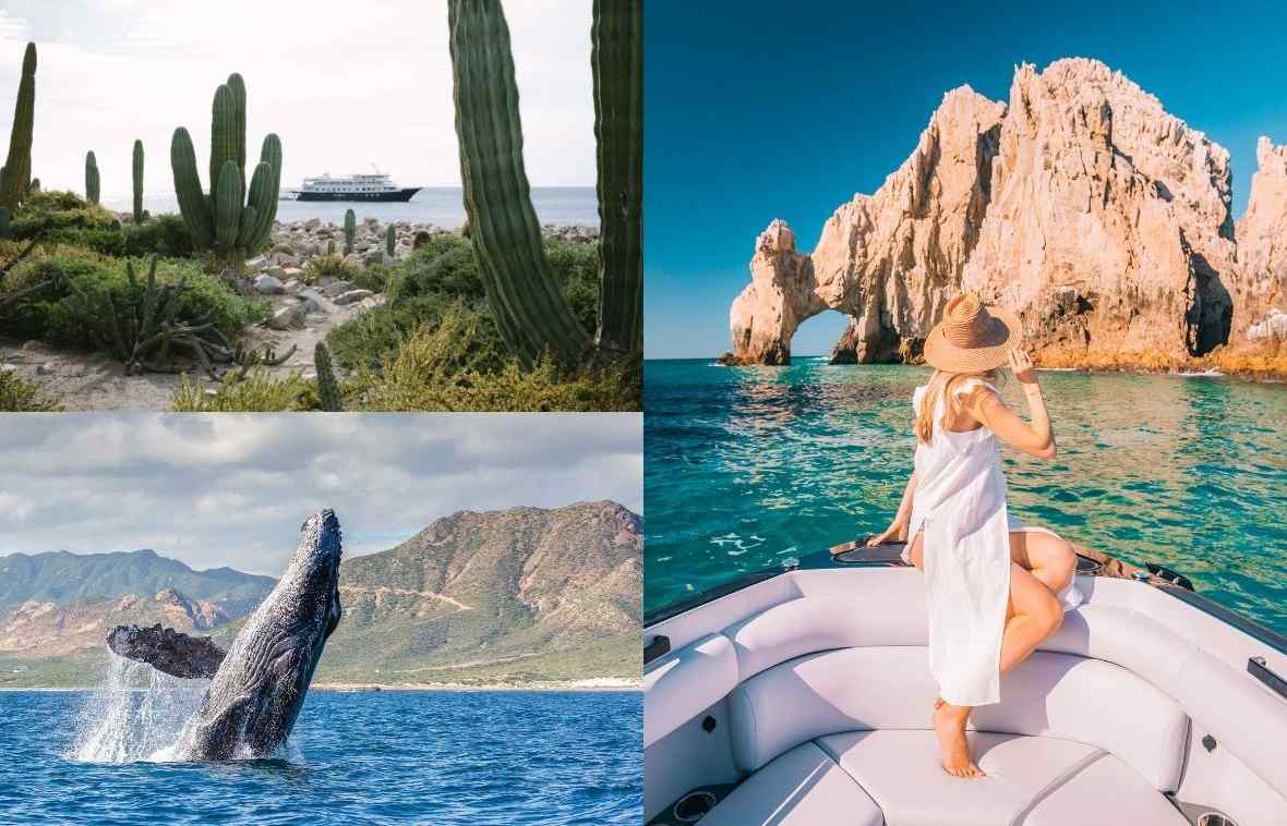 UnCruise Adventures, Baja Mexico | Lindblad Expeditions, Baja California | Montage Los Cabos