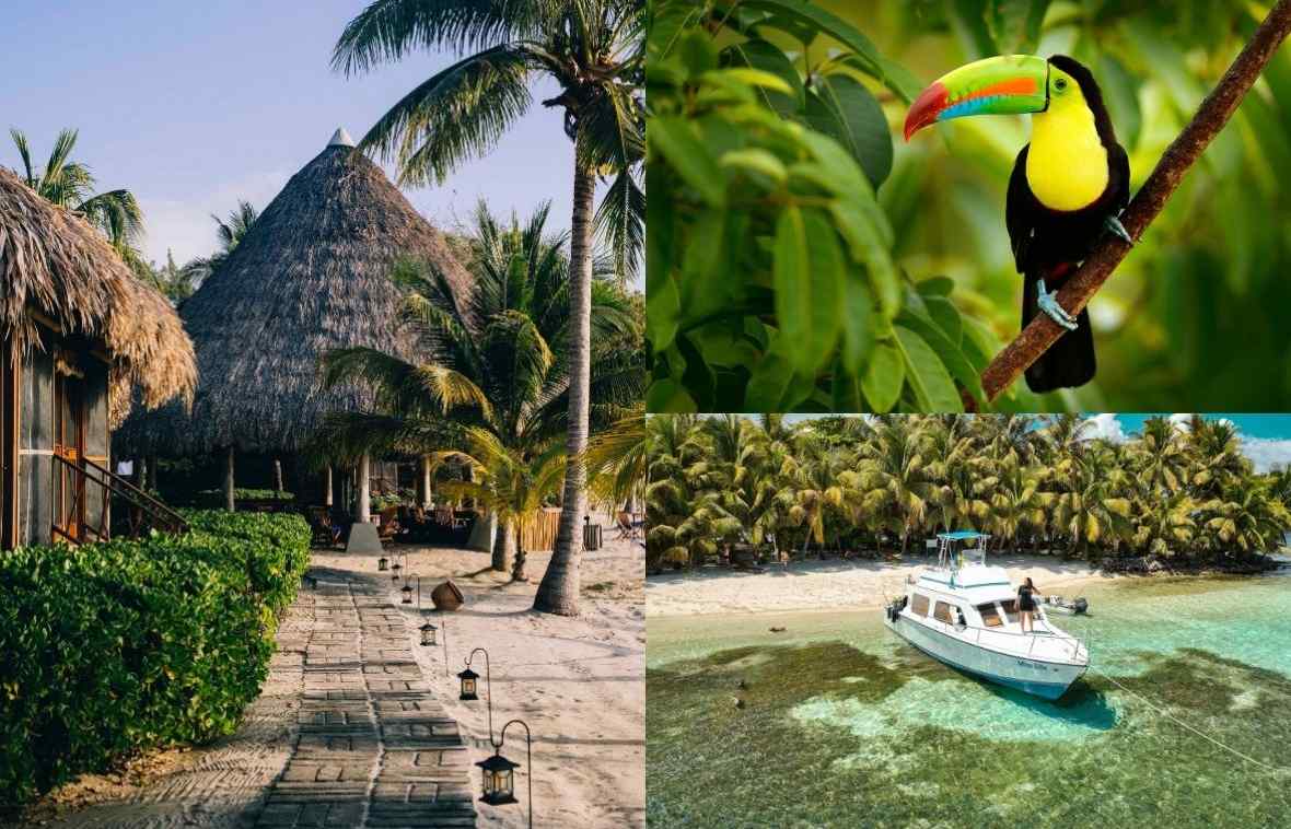 Turtle Inn, Belize |  Keel-Billed Toucan