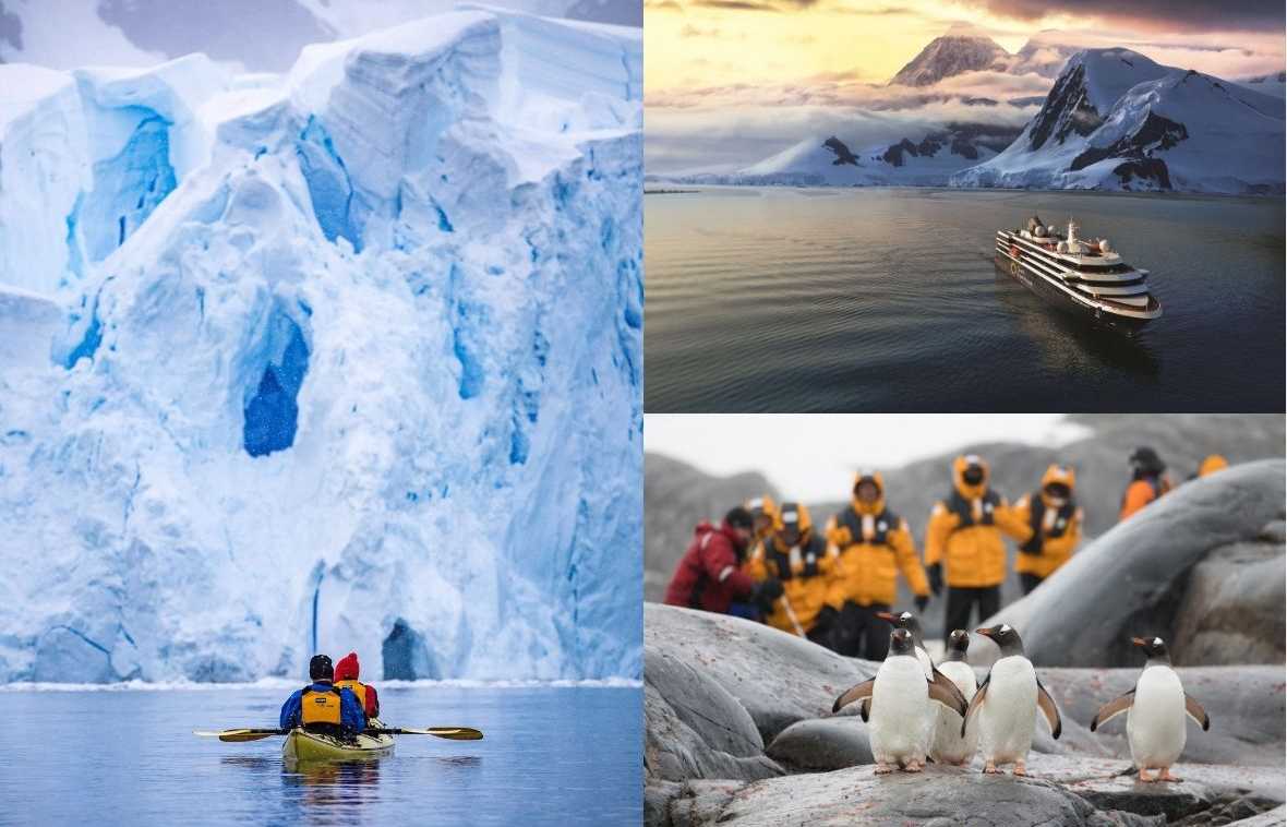 Intrepid Travel | Quark Expeditions | Penguins