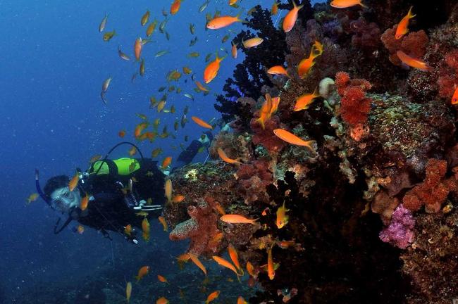 Anantara - Snorkeling