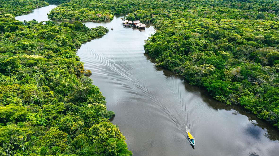 Amazon Rainforest, Peru