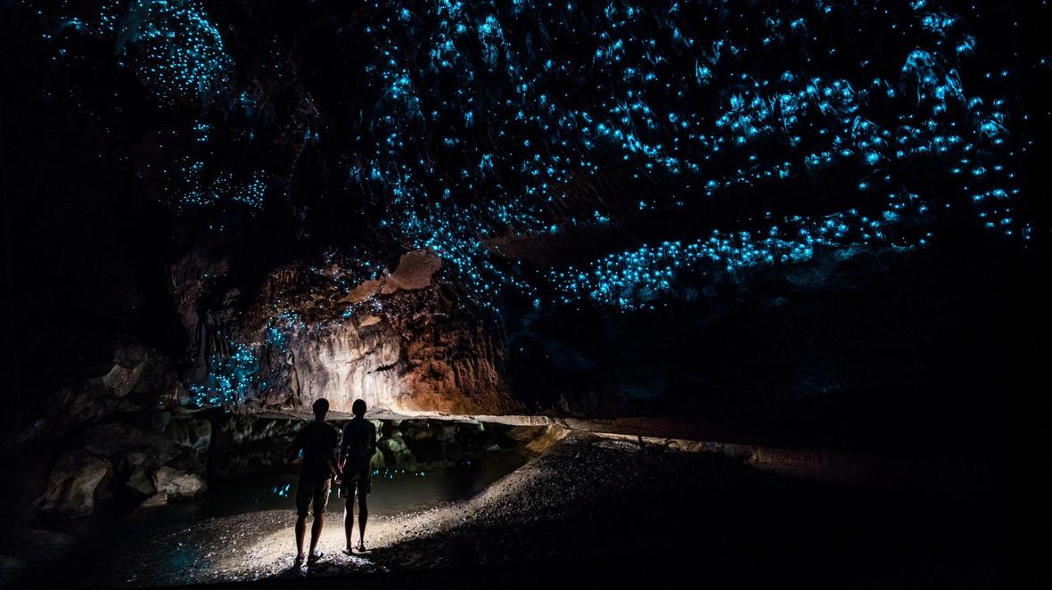 Waitomo Caves